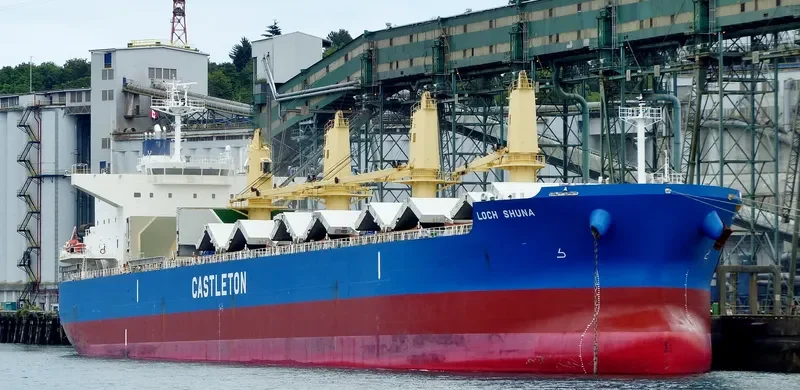 MEGHNA LIBERTY Bulk Carrier IMO 9668051 photo 2
