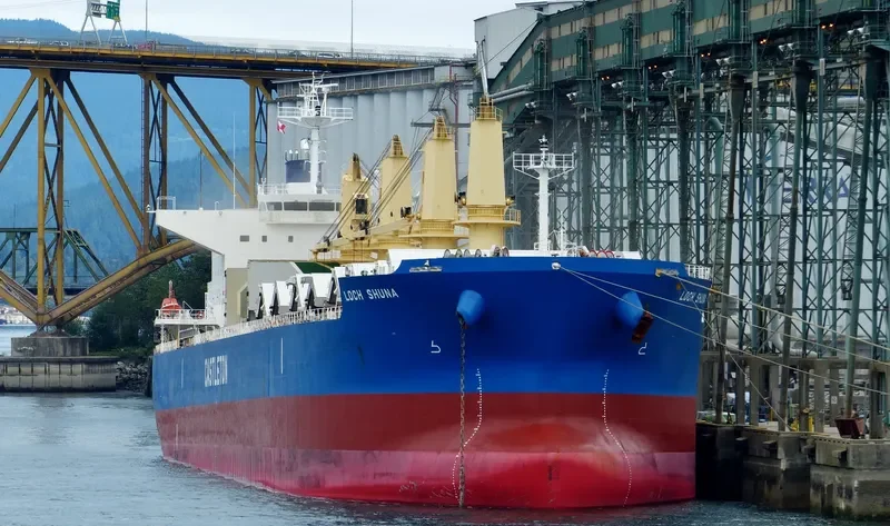 MEGHNA LIBERTY Bulk Carrier IMO 9668051 photo 3