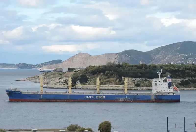 MEGHNA LIBERTY Bulk Carrier IMO 9668051 photo 7