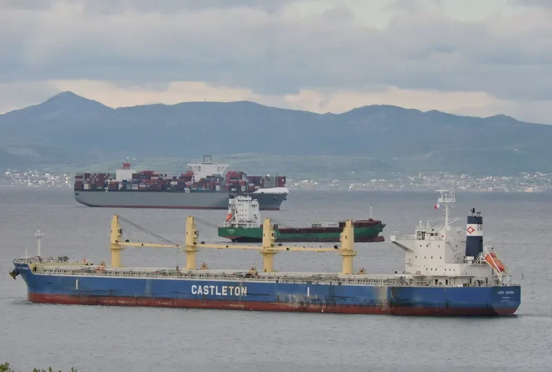 MEGHNA LIBERTY Bulk Carrier IMO 9668051 photo 8