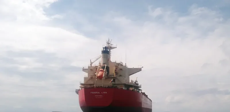 FEDERAL LYRA Bulk Carrier IMO 9668063 photo 2