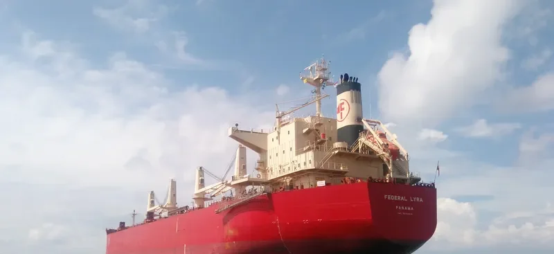 FEDERAL LYRA Bulk Carrier IMO 9668063 photo 4