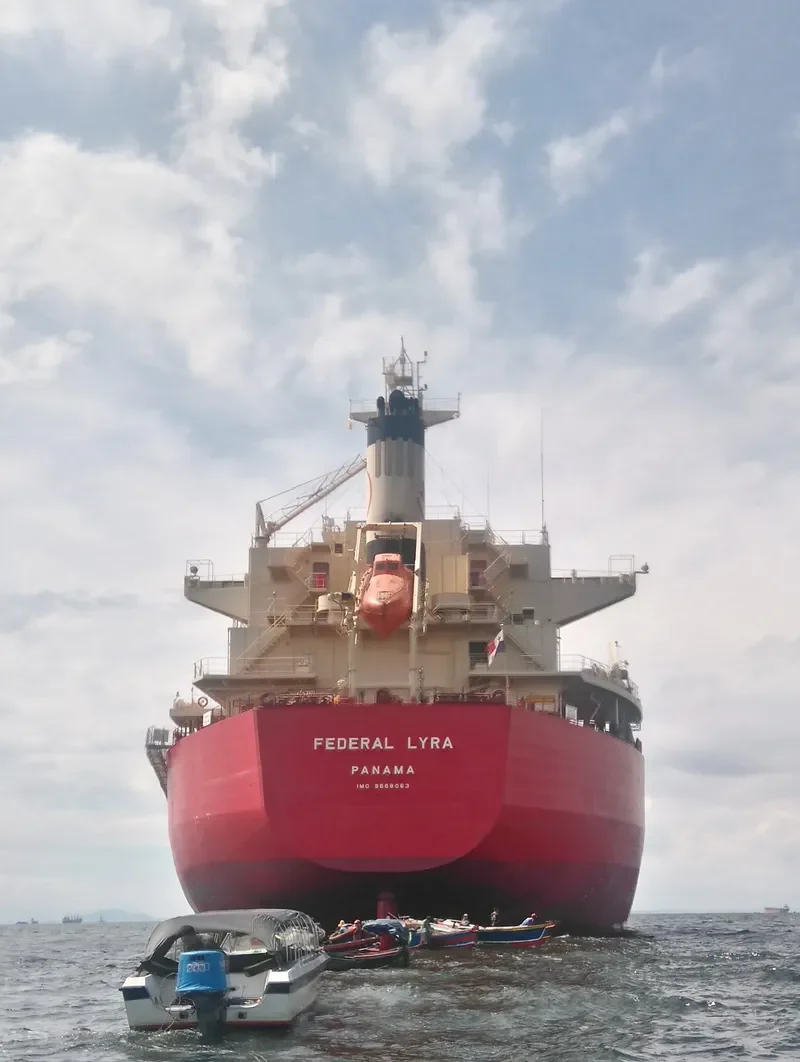 FEDERAL LYRA Bulk Carrier IMO 9668063 photo 5
