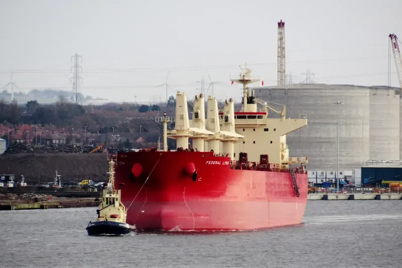 FEDERAL LYRA Bulk Carrier IMO 9668063 photo 8
