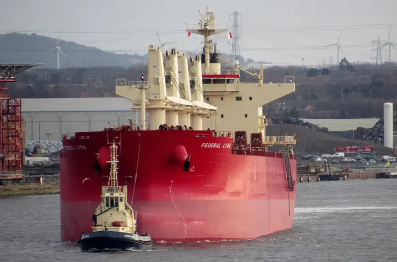 FEDERAL LYRA Bulk Carrier IMO 9668063 photo 10