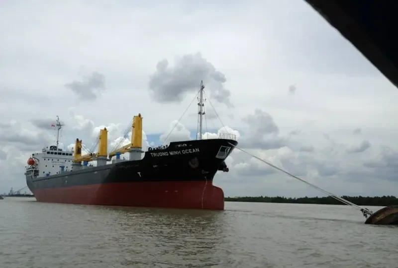 TRUONG MINH OCEAN General Cargo IMO 9668128