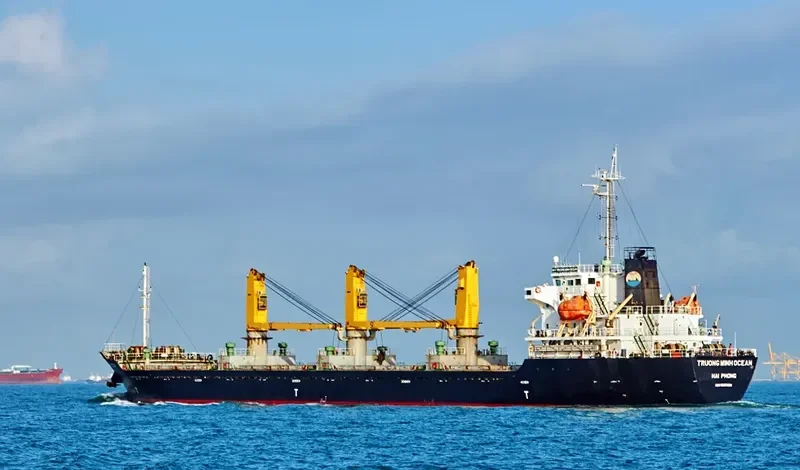 TRUONG MINH OCEAN General Cargo IMO 9668128 photo 2
