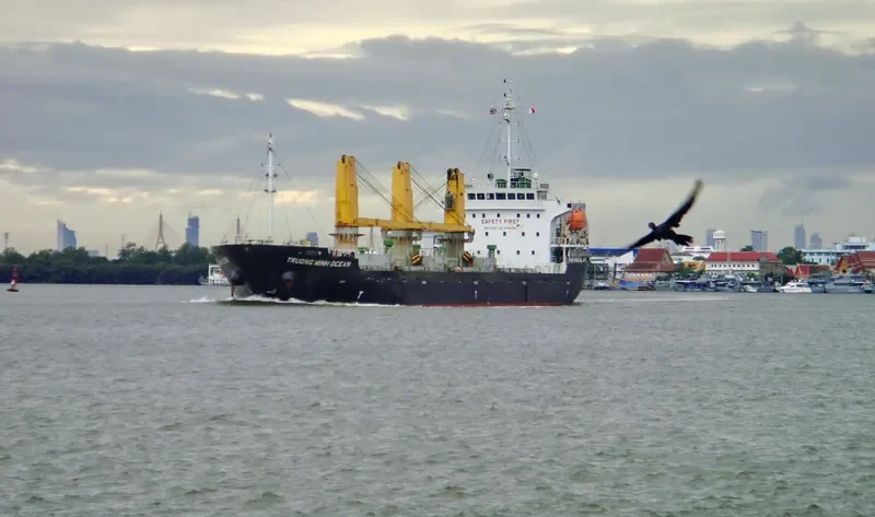 TRUONG MINH OCEAN General Cargo IMO 9668128 photo 3