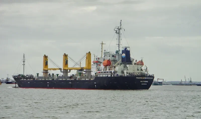 TRUONG MINH OCEAN General Cargo IMO 9668128 photo 4