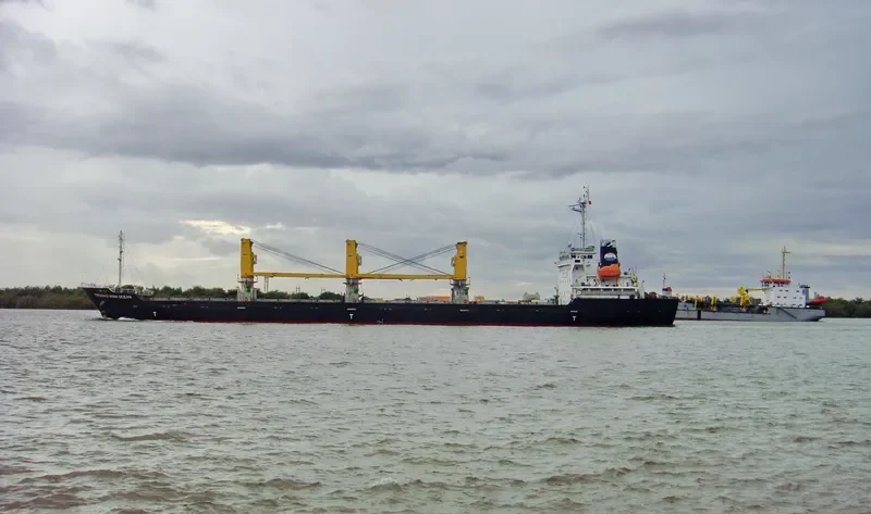 TRUONG MINH OCEAN General Cargo IMO 9668128 photo 5