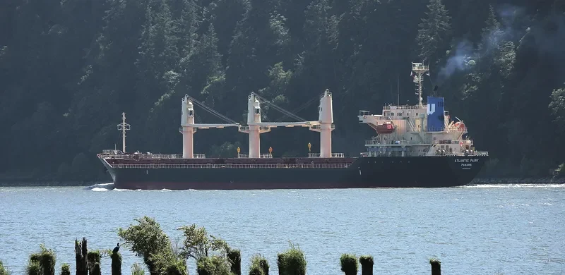 ATLANTIC FAIRY Bulk Carrier IMO 9668269 photo 3