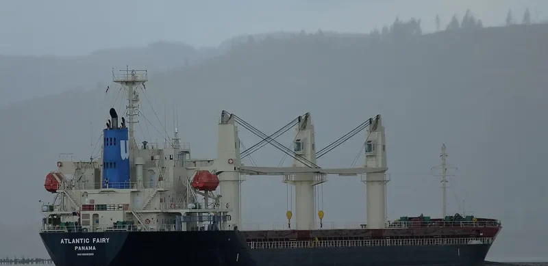 ATLANTIC FAIRY Bulk Carrier IMO 9668269 photo 4