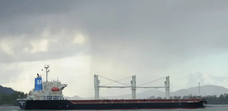 ATLANTIC FAIRY Bulk Carrier IMO 9668269 photo 5