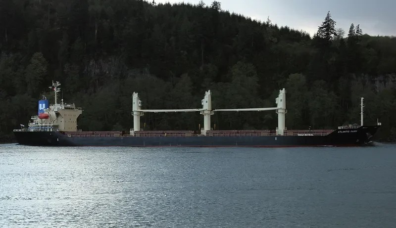 ATLANTIC FAIRY Bulk Carrier IMO 9668269 photo 6