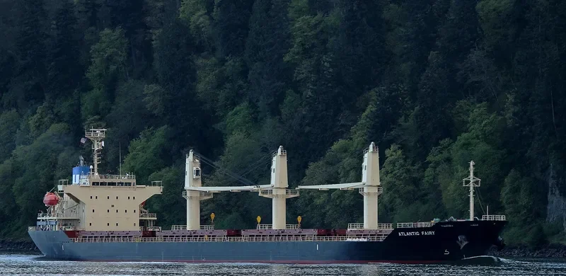 ATLANTIC FAIRY Bulk Carrier IMO 9668269 photo 7