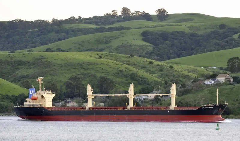 ATLANTIC FAIRY Bulk Carrier IMO 9668269 photo 8