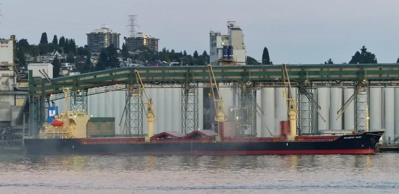 ATLANTIC FAIRY Bulk Carrier IMO 9668269 photo 10