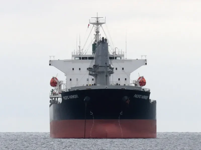 PACIFIC HARMONY Bulk Carrier IMO 9668271 photo 3