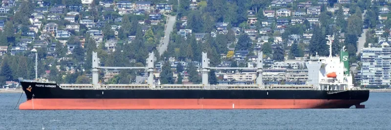 PACIFIC HARMONY Bulk Carrier IMO 9668271 photo 4