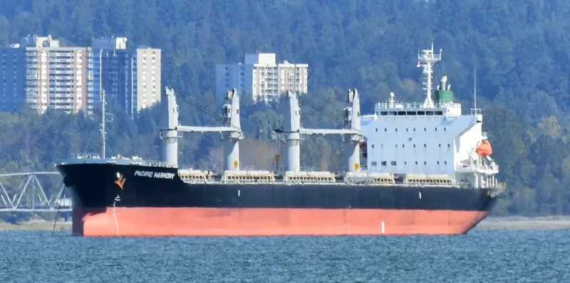 PACIFIC HARMONY Bulk Carrier IMO 9668271 photo 5