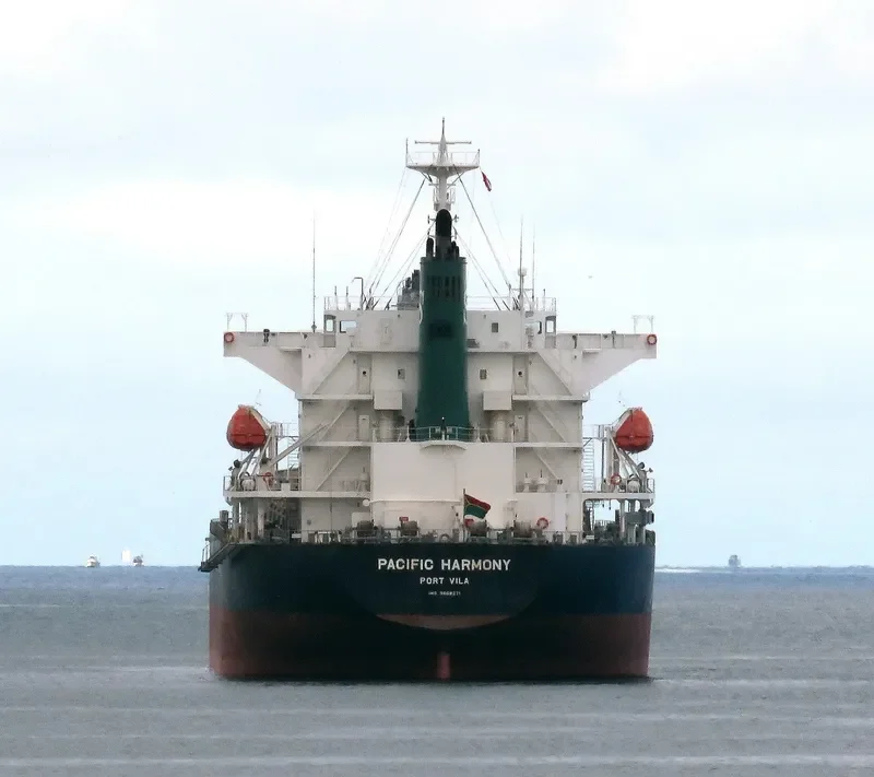 PACIFIC HARMONY Bulk Carrier IMO 9668271 photo 6