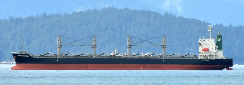 PACIFIC HARMONY Bulk Carrier IMO 9668271 photo 7
