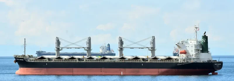 PACIFIC HARMONY Bulk Carrier IMO 9668271 photo 8