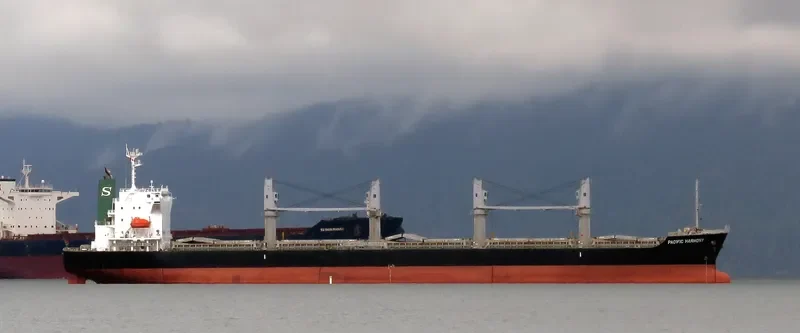 PACIFIC HARMONY Bulk Carrier IMO 9668271 photo 9