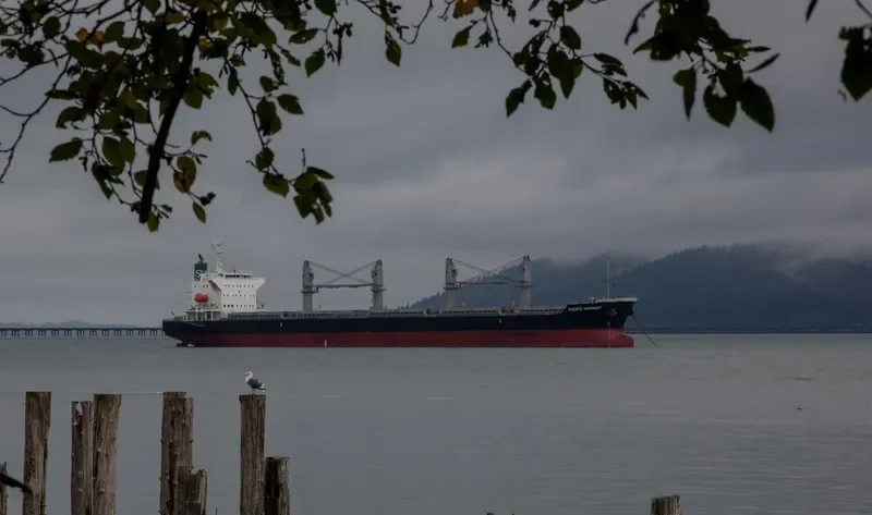 PACIFIC HARMONY Bulk Carrier IMO 9668271 photo 10