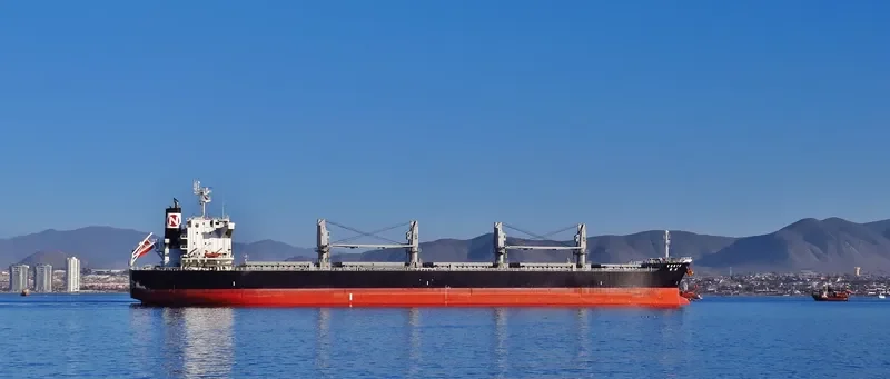 KORYU Bulk Carrier IMO 9668283