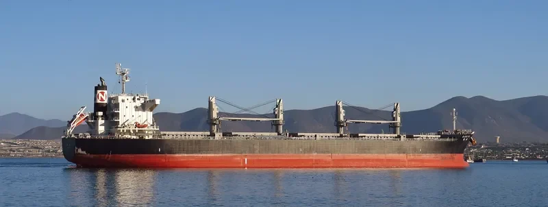 KORYU Bulk Carrier IMO 9668283 photo 3