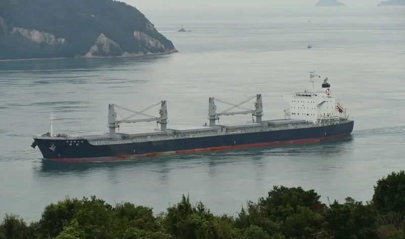 KORYU Bulk Carrier IMO 9668283 photo 6