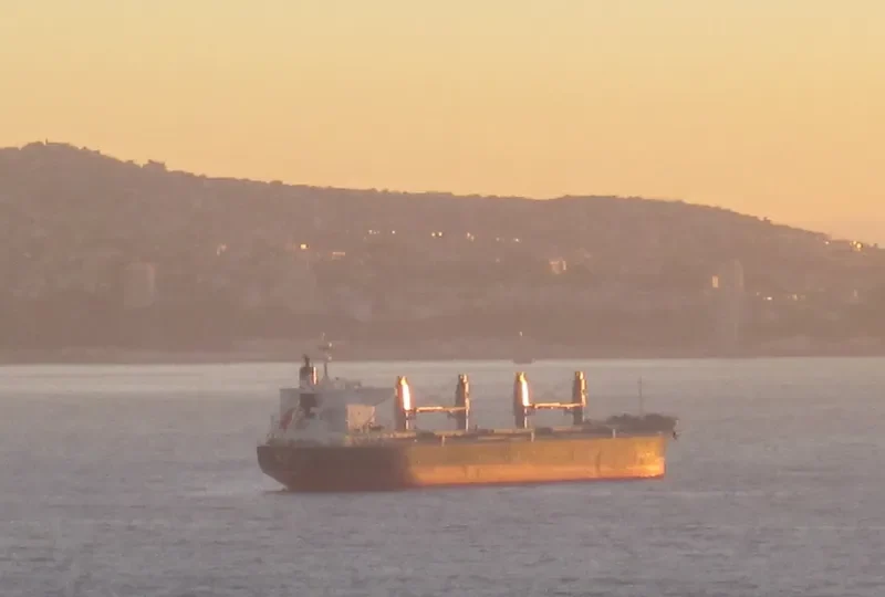 KORYU Bulk Carrier IMO 9668283 photo 7