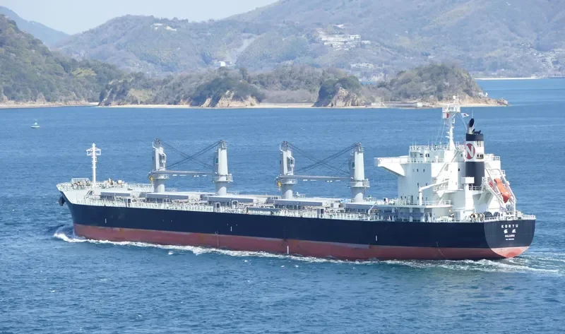 KORYU Bulk Carrier IMO 9668283 photo 10