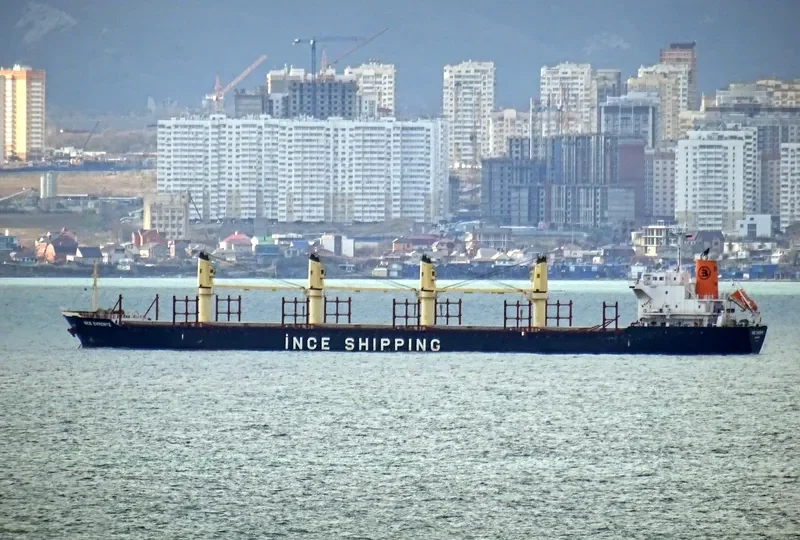 INCE EVRENYE Bulk Carrier IMO 9668295