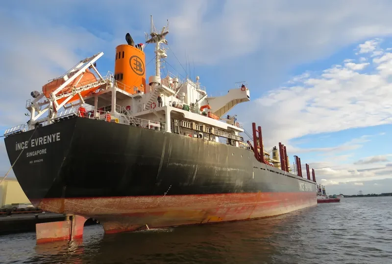 INCE EVRENYE Bulk Carrier IMO 9668295 photo 5