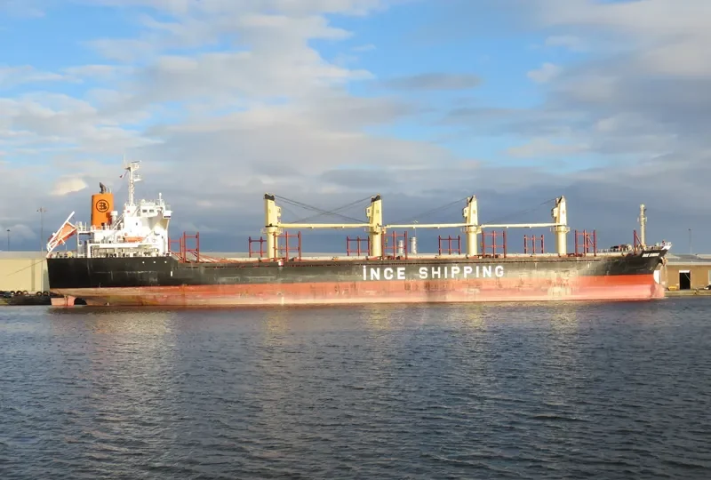 INCE EVRENYE Bulk Carrier IMO 9668295 photo 7