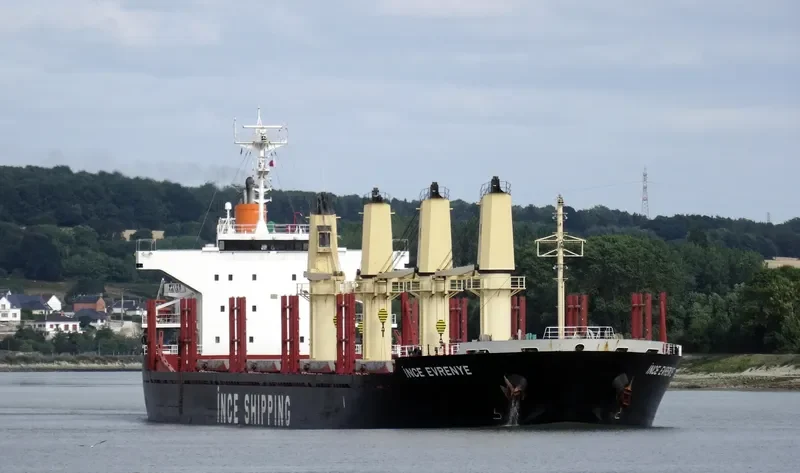 INCE EVRENYE Bulk Carrier IMO 9668295 photo 10
