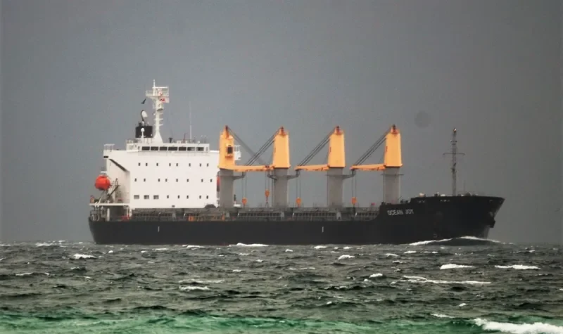 OCEAN JOY Bulk Carrier IMO 9668300