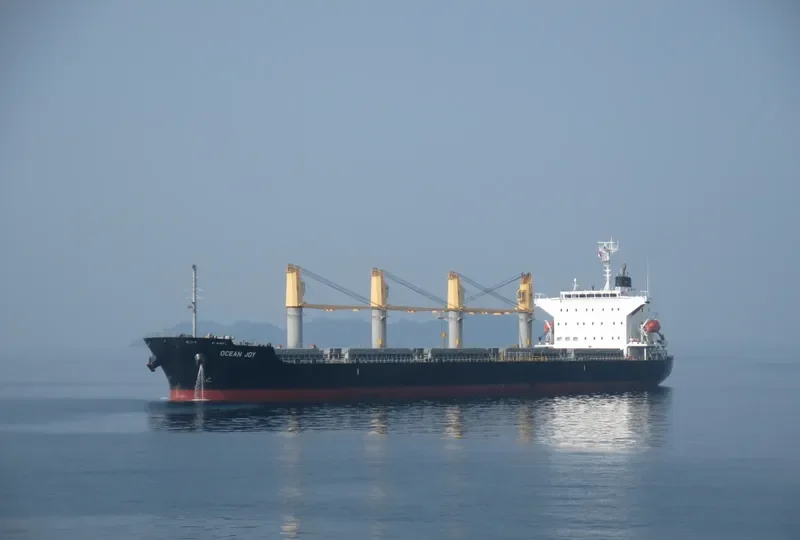 OCEAN JOY General Cargo IMO 9668300 photo 2