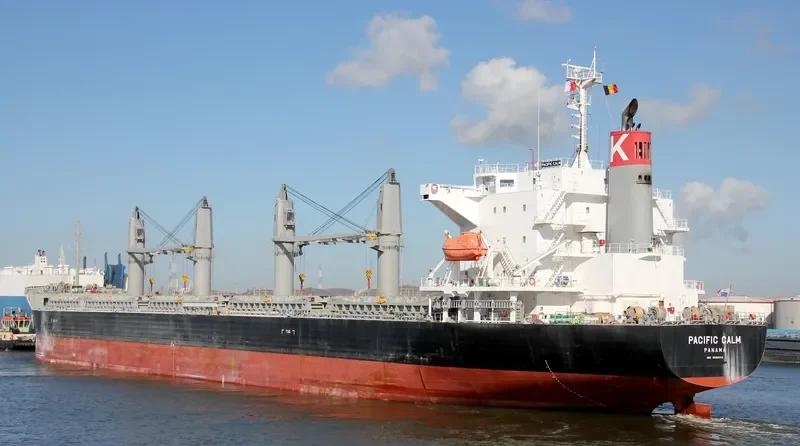 PACIFIC CALM Bulk Carrier IMO 9668312