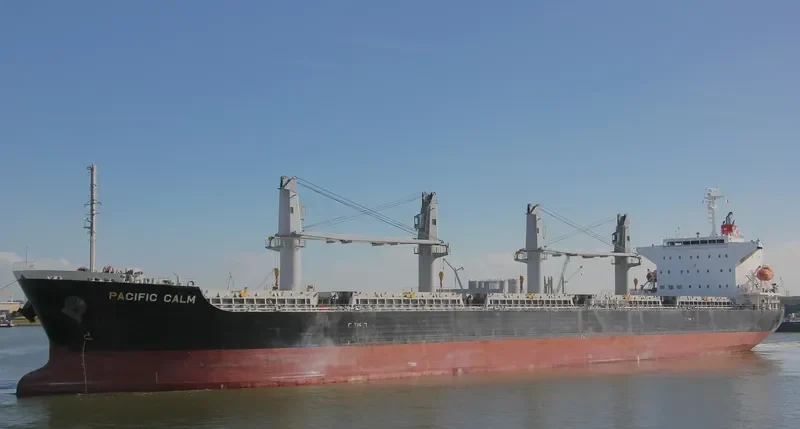 PACIFIC CALM Bulk Carrier IMO 9668312 photo 2