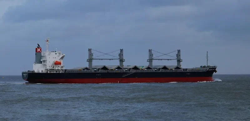 PACIFIC CALM Bulk Carrier IMO 9668312 photo 3