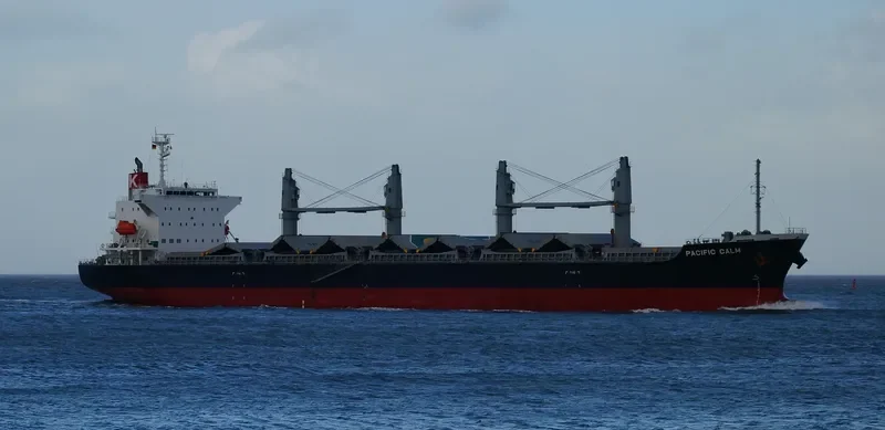 PACIFIC CALM Bulk Carrier IMO 9668312 photo 4