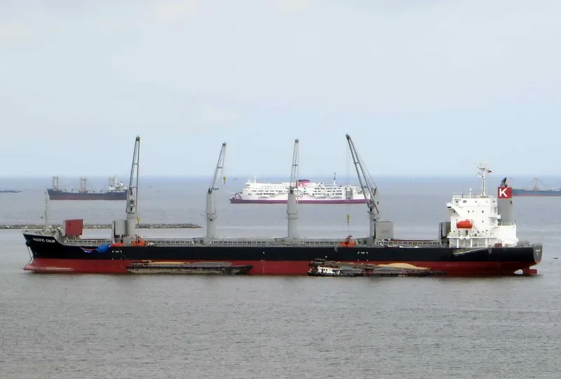 PACIFIC CALM Bulk Carrier IMO 9668312 photo 5