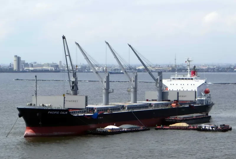 PACIFIC CALM Bulk Carrier IMO 9668312 photo 6