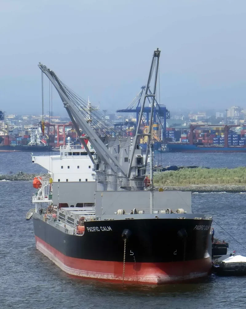 PACIFIC CALM Bulk Carrier IMO 9668312 photo 7
