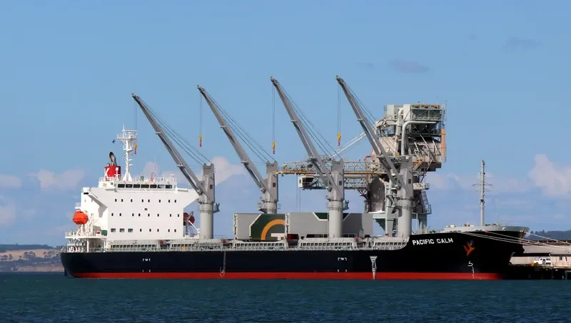 PACIFIC CALM Bulk Carrier IMO 9668312 photo 9