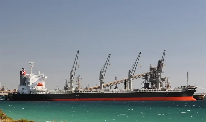 PACIFIC CALM Bulk Carrier IMO 9668312 photo 10