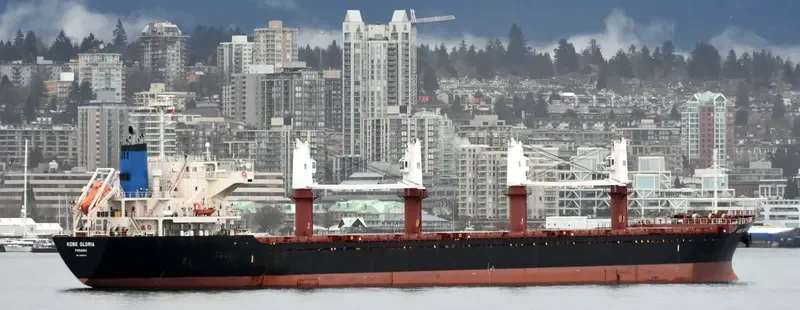 KOBE GLORIA Bulk Carrier IMO 9668324 photo 2